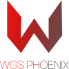 World Game Star Phoenix